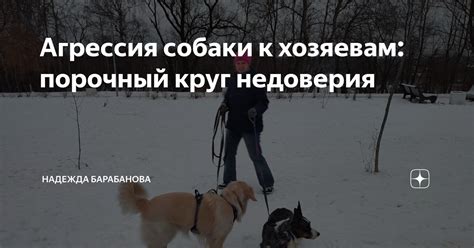 Сны об успокоении собаки как проявление недоверия и страха