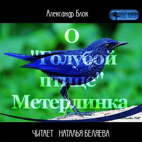 Сны о голубой птице и перемены в личной судьбе