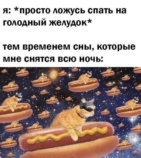 Сны с кошками: смысл и символика