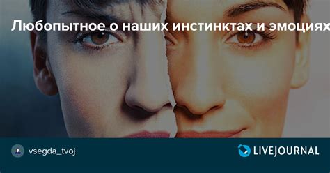 Сны с образами палача: что они отражают о наших скрытых мыслях и эмоциях?