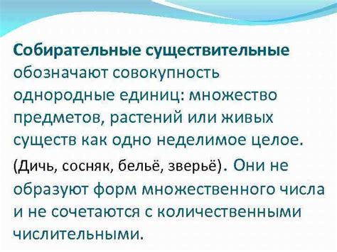 Собирательные имена в русском языке