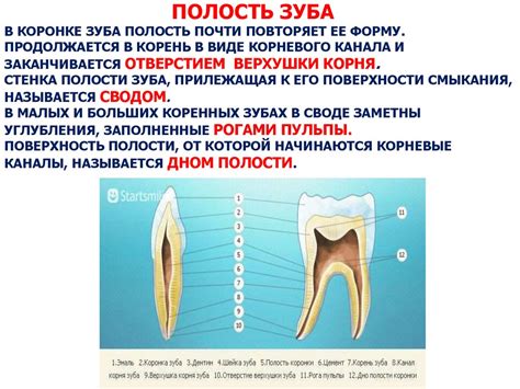 Событие распада и утрата зуба в различных ситуациях сна: скрытый смысл и возможные интерпретации