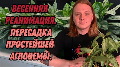 Советы для новичков, которые задумываются об уходе