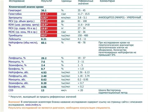 Советы по анализу сновидений о ушедших близких: помощь в расшифровке
