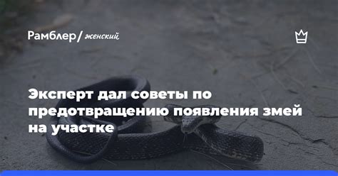 Советы по предотвращению появления мошек на участке