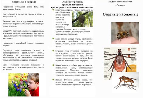 Советы по расшифровке снов о маленьких насекомых, бродящих по нашему организму