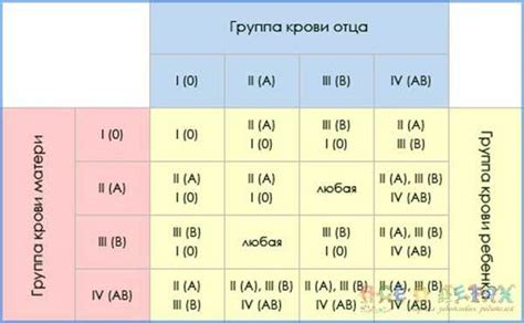 Совместимость родителей с отрицательной группой крови