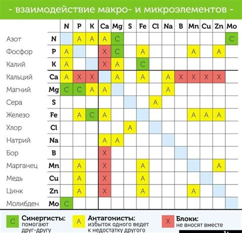 Совместимость селена с витаминами