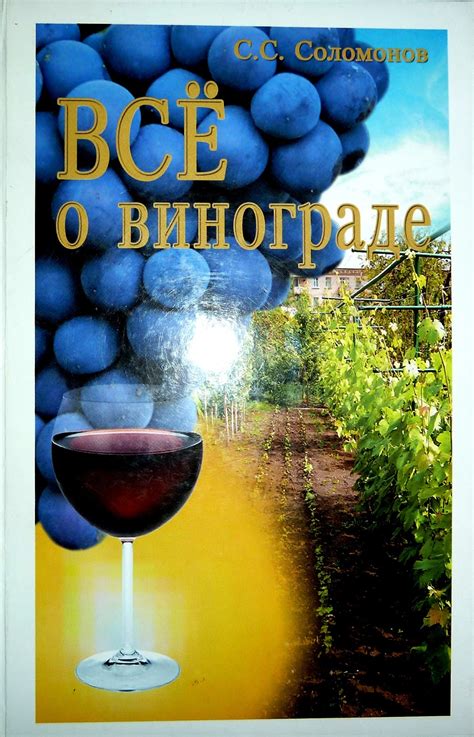 Современные толкования снов о винограде: преобразования и воздействие культуры