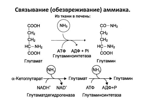 Содержание аммиака