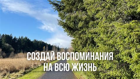 Создай вечные воспоминания