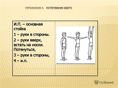 Создание и развитие основной стойки