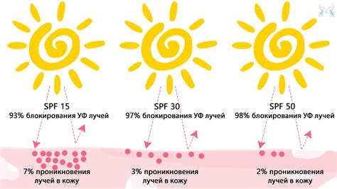 Солнечная чувствительность и защита от солнца