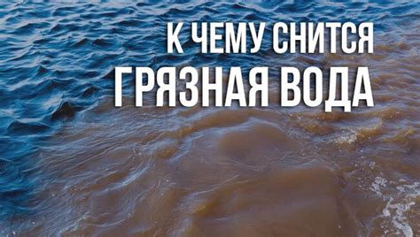 Сонника грязная вода - ключевые толкования