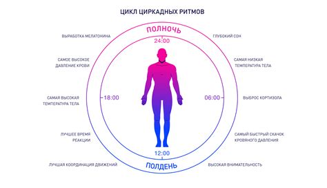 Сон и восстановление при сушке: режим и роль отдыха