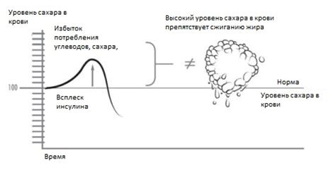 Сон и метаболизм