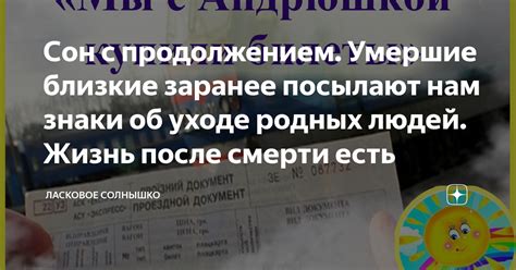 Сон об смерти верного компаньона: предзнаменование трагедии или печальное переживание потери