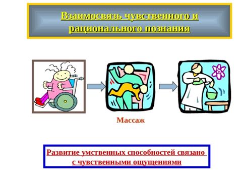 Сон о защите питомца и его связь с чувственными ощущениями