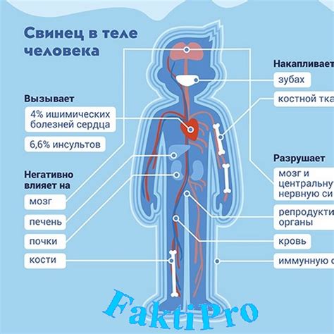 Сон о свинце: бремя проблем и усталость