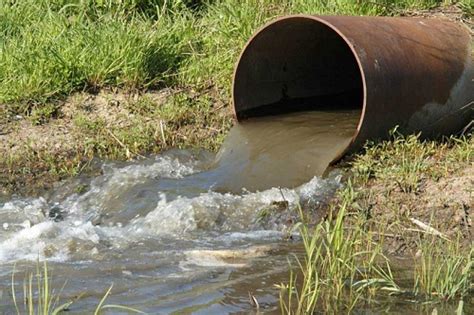 Сон с грязной водой: что это может означать?