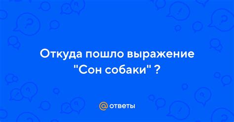 Сон с медвежонком: возможное выражение подсознательных опасений