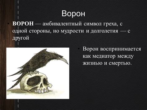 Сороки как символ в разных культурах