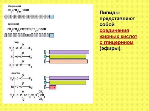 Состав и структура псалтиря