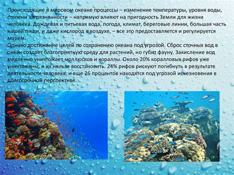 Сохранение морской экосистемы