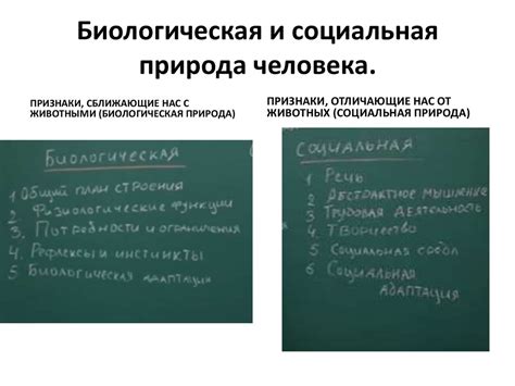 Социальная природа покорения