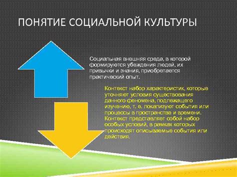 Социальная среда в которой возник термин "совковый"