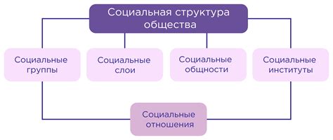 Социальная структура: основное понятие и определение