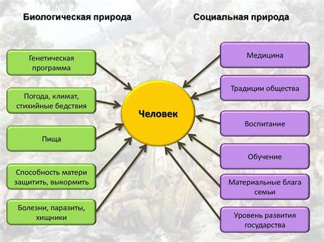 Социальная сущность фиолетового треугольника