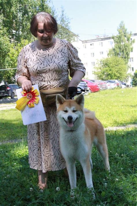 Специалисты и консультанты по племенному использованию собак