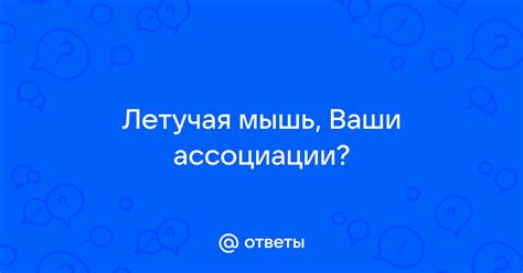 Спорт и летучая мышь: ассоциации и применение