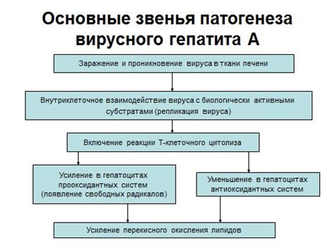 Способы заражения вирусом гепатита А