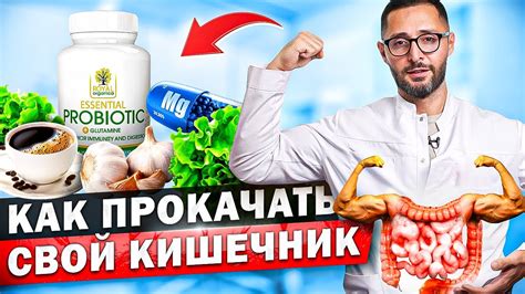 Способы лечения нарушенной работы кишечника