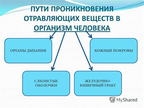 Способы попадания солонины в организм