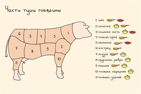 Способы приготовления и использования говядины односортной