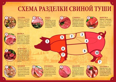 Способы разделки свинины и правильная последовательность