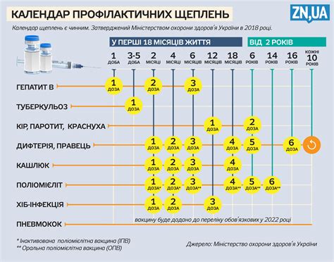 Сроки и возрастные ограничения для прививки от туберкулеза