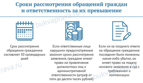 Сроки рассмотрения: