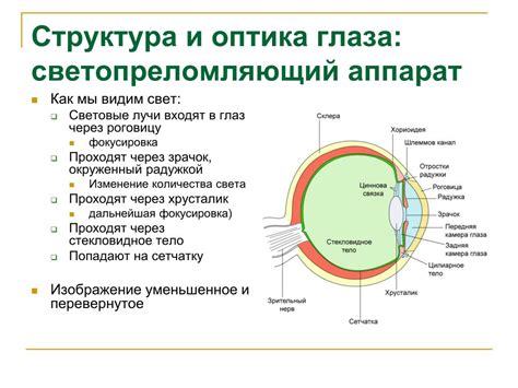 Старение глаз и его влияние на зрение