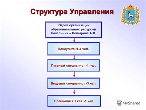 Старший специалист: понятие и роль в компании