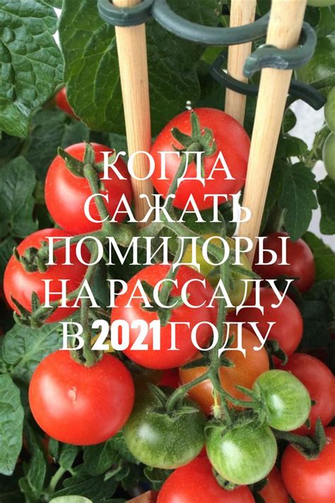 Статус земли садоводство в 2021 году