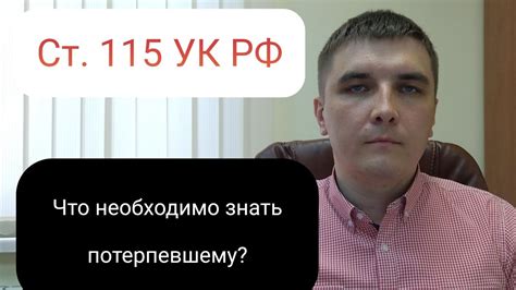 Статья 115 УК РФ