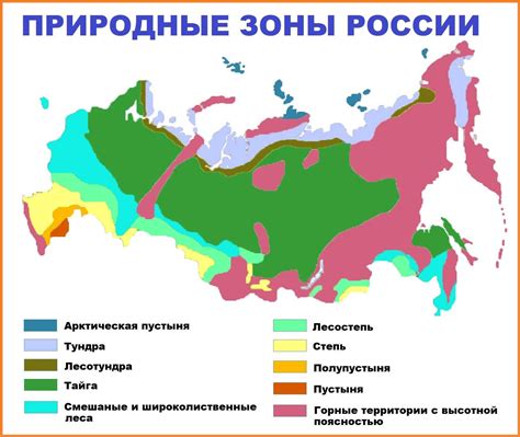 Степная зона: край безбрежных просторов и уникальной флоры и фауны