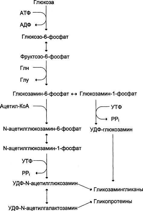 Стимуляция синтеза глутамата