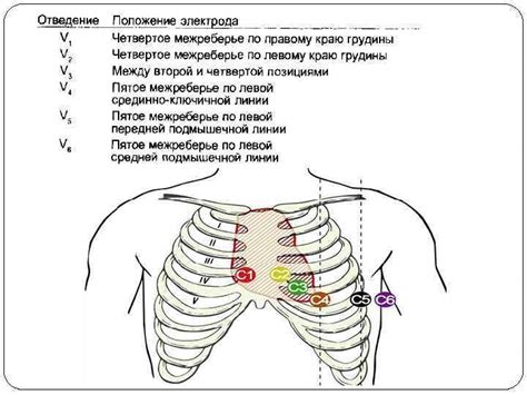 Стоимость проведения ЭКГ в различных медицинских учреждениях и регионах