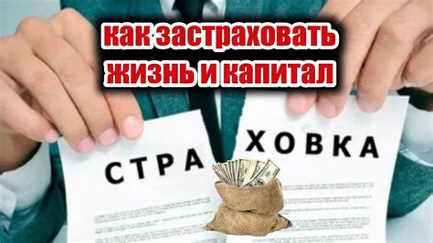 Страховка по титулу: виды и характеристики