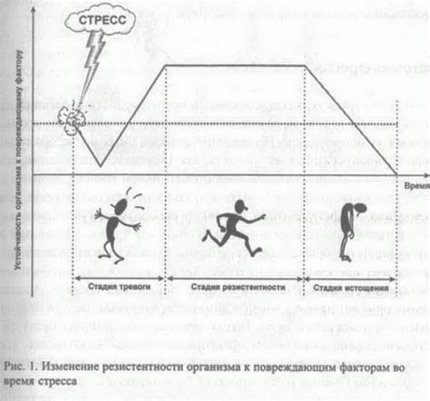 Стрессовое воздействие